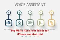 Top Voice Assistant Tricks for iPhone and Android